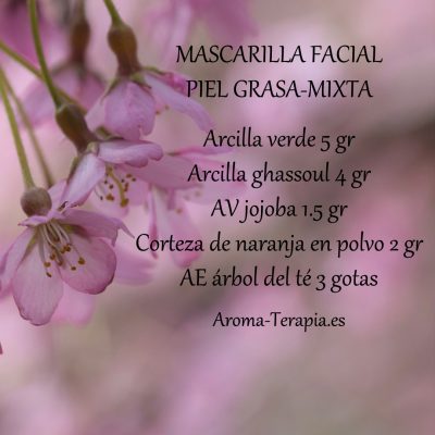 mascarilla-preelaborada-p-grasa-ig-400x400